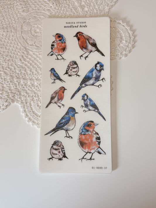 Sarica Studio - woodland birds