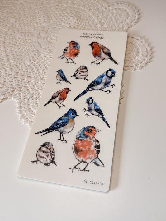 Sarica Studio - woodland birds