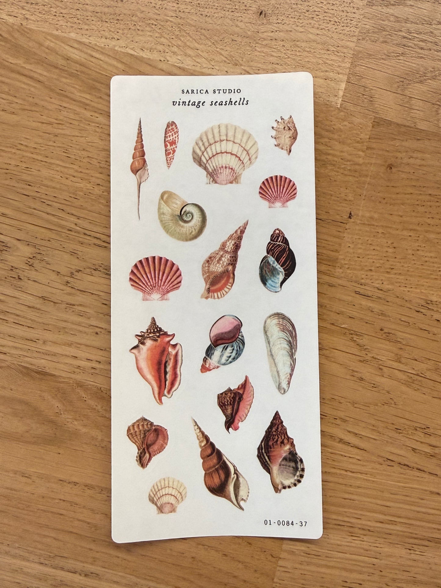 Sarica Studio - Vintage Seashells
