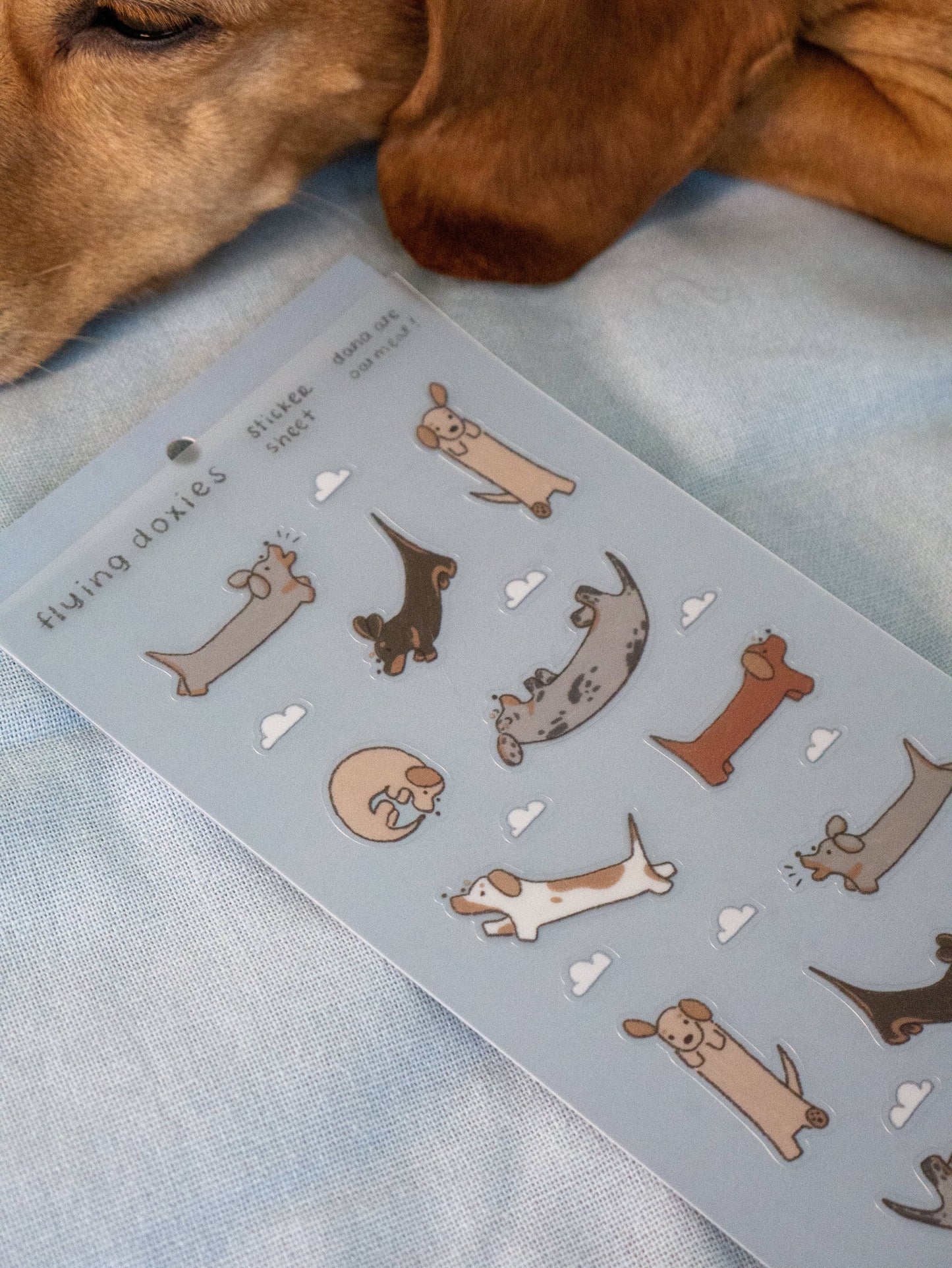 Dana ate oatmeal - Flying dogs - sticker sheet