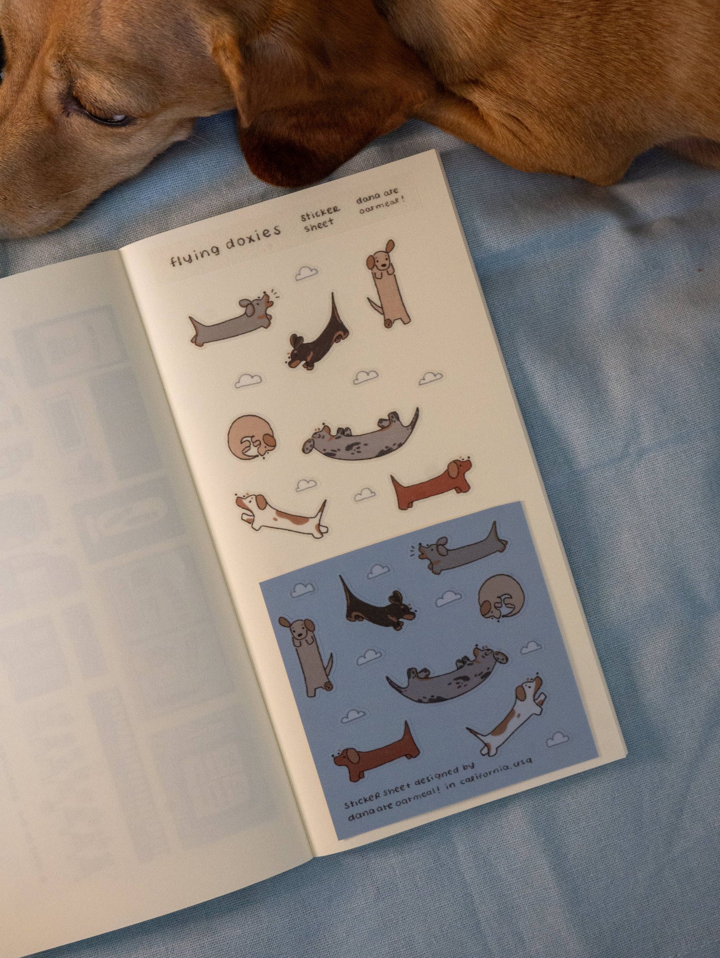 Dana ate oatmeal - Flying dogs - sticker sheet