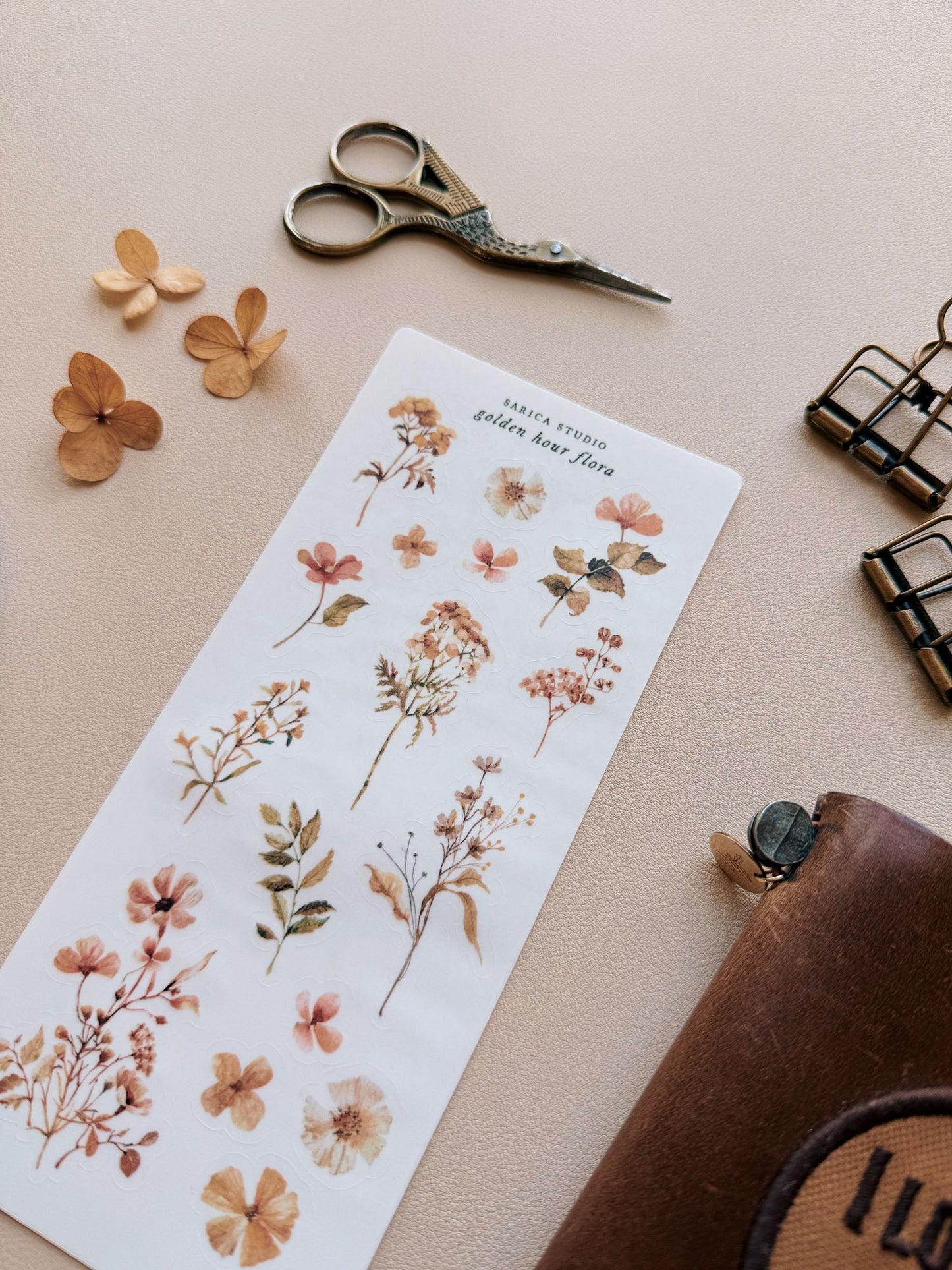 Sarica Studio - Golden hour flora