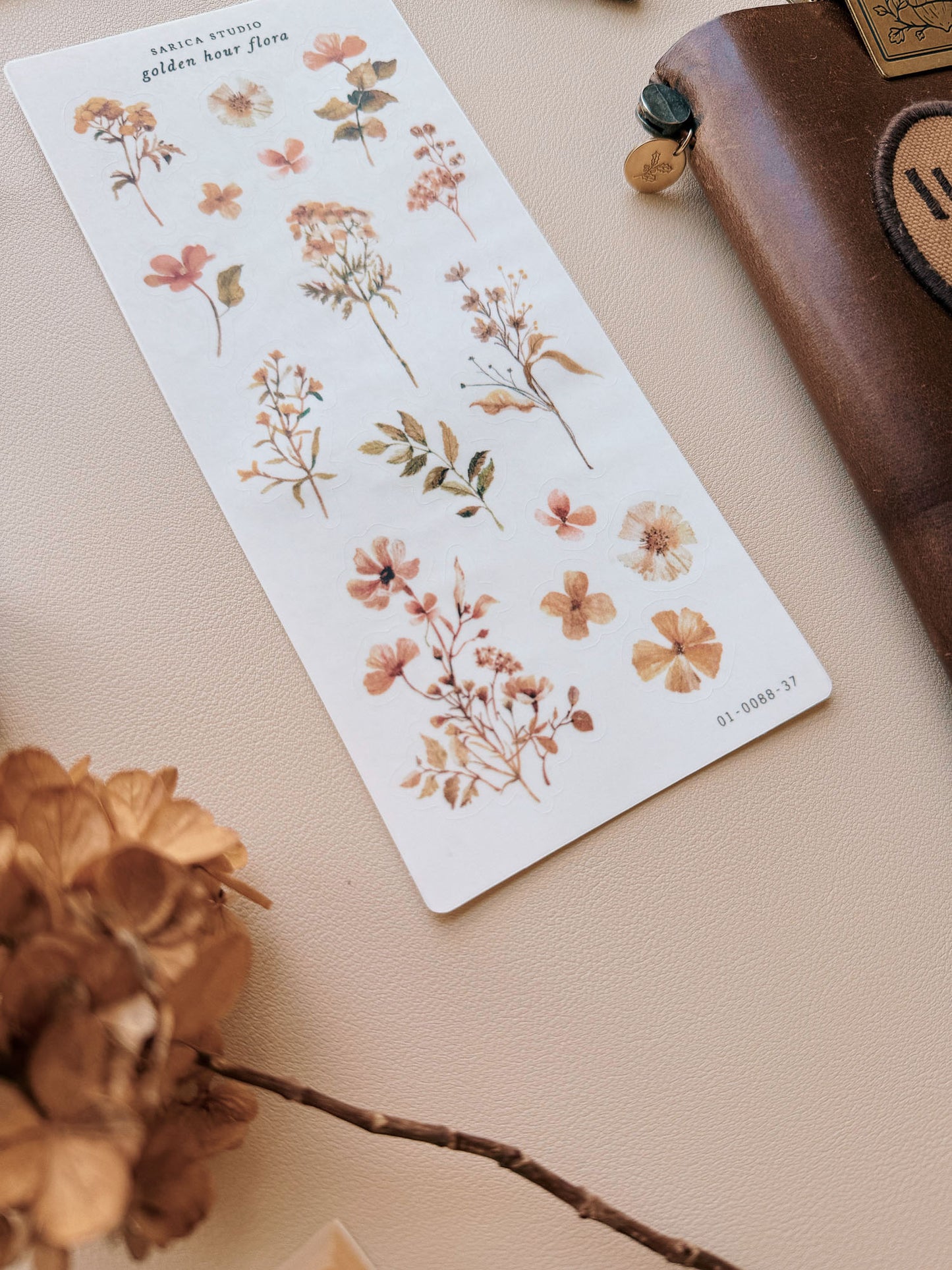 Sarica Studio - Golden hour flora