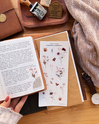 Sarica Studio - Midautumn wildflowers