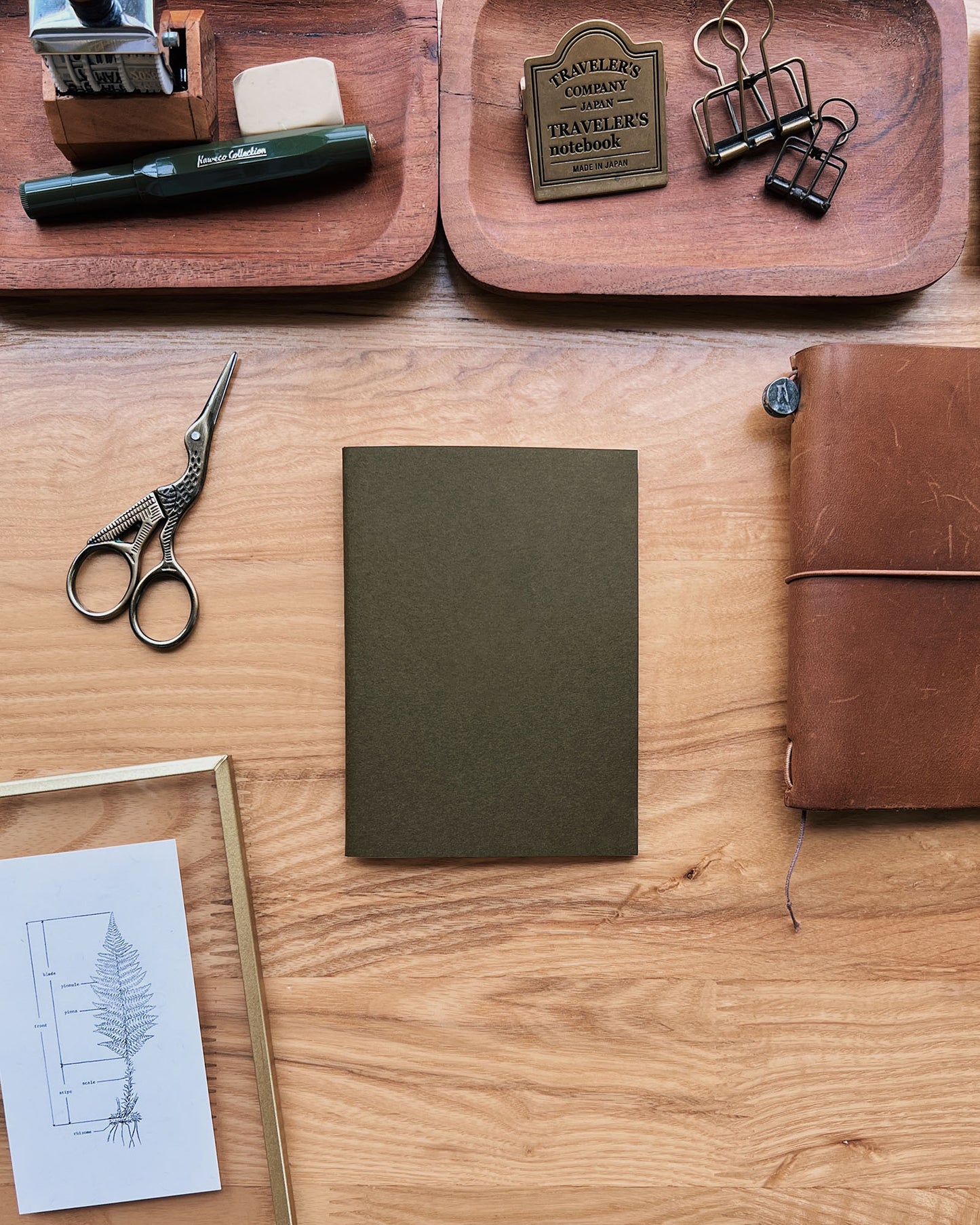 Sarica Studio - Olive green - Passport size TN