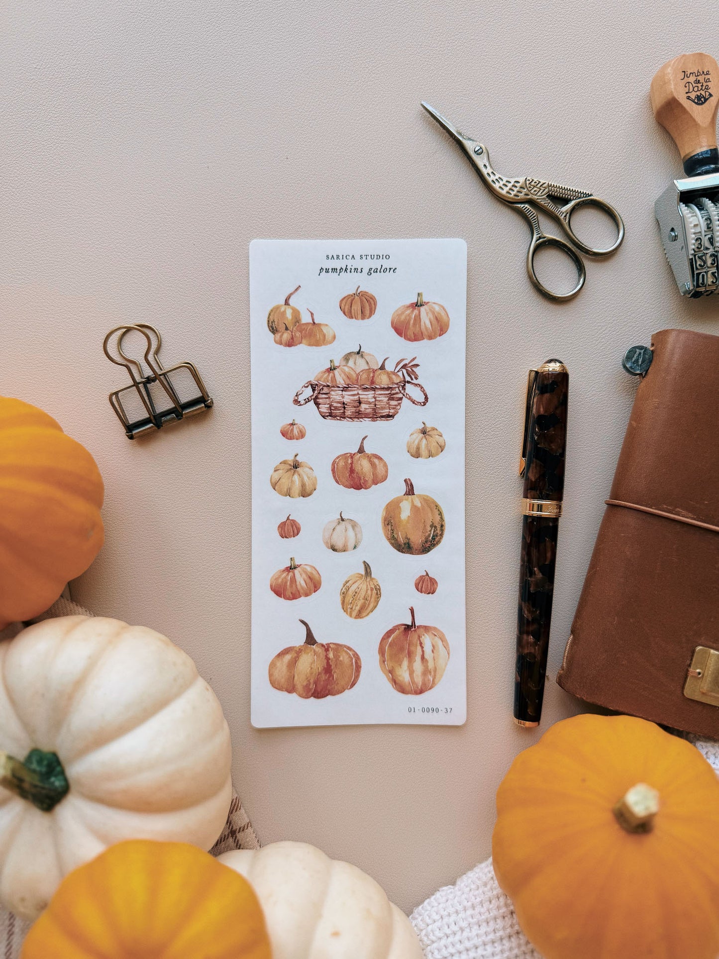 Sarica Studio - Pumpkins galore