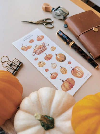 Sarica Studio - Pumpkins galore